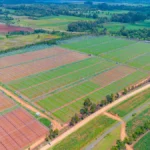 High-Altitude Advantage